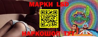 Альфа ПВП Дубна
