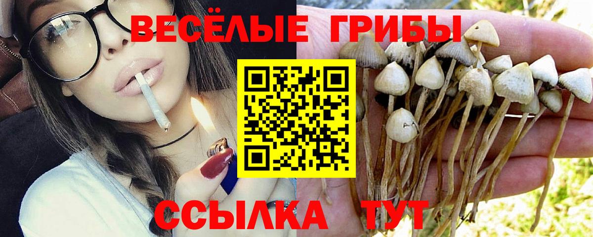Галлюциногенные грибы Magic Shrooms Комсомольск-на-Амуре